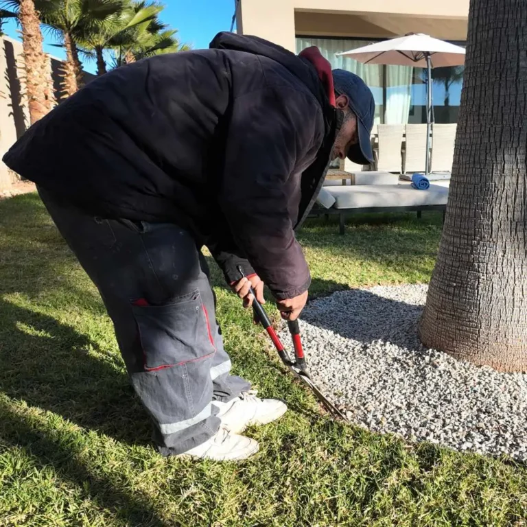 11 PALM AGENCY TECHNIQUES