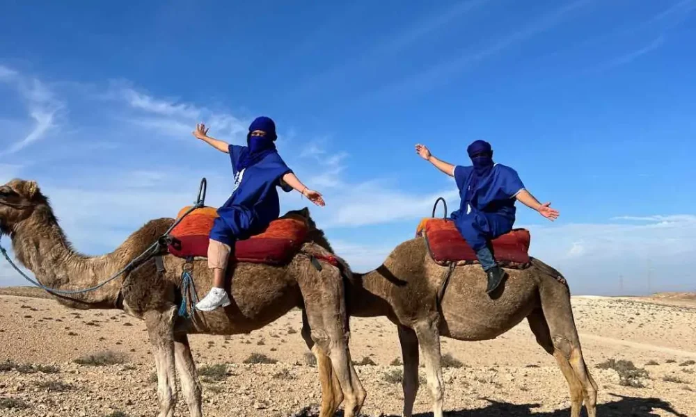 12 PALM AGENCY CAMEL1