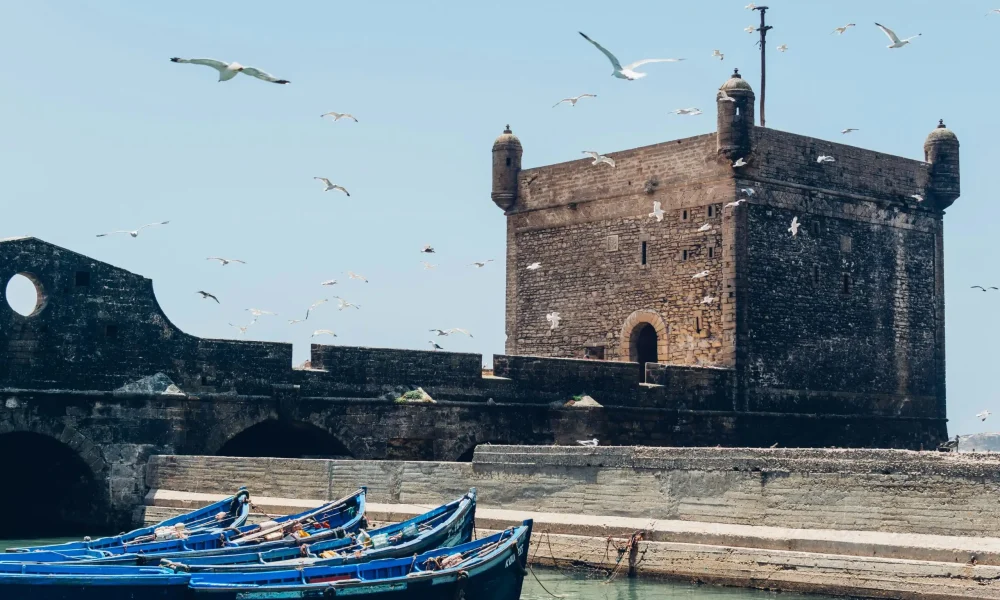 A scenic view of the Essaouira citadel with seagulls in flight and boats docked at the harbor.